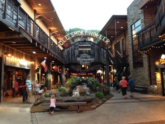 Windsong Villa Gatlinburg Bagian luar foto